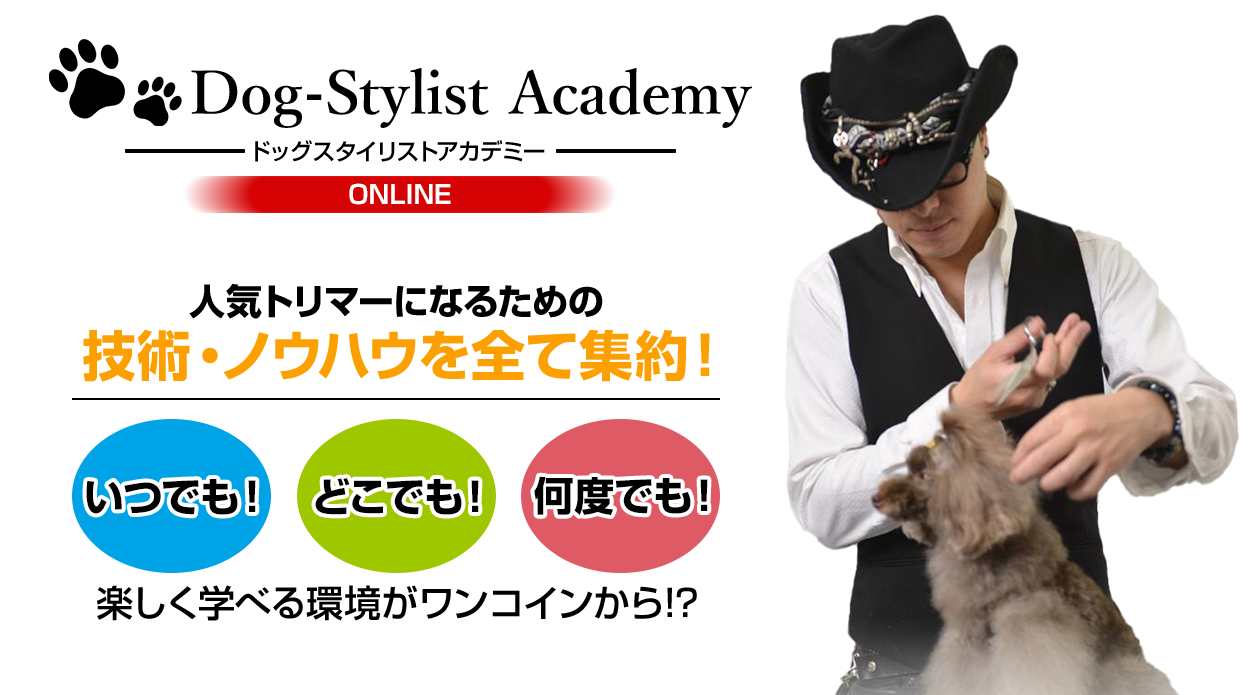 Dog-stylist Academy ONLINE